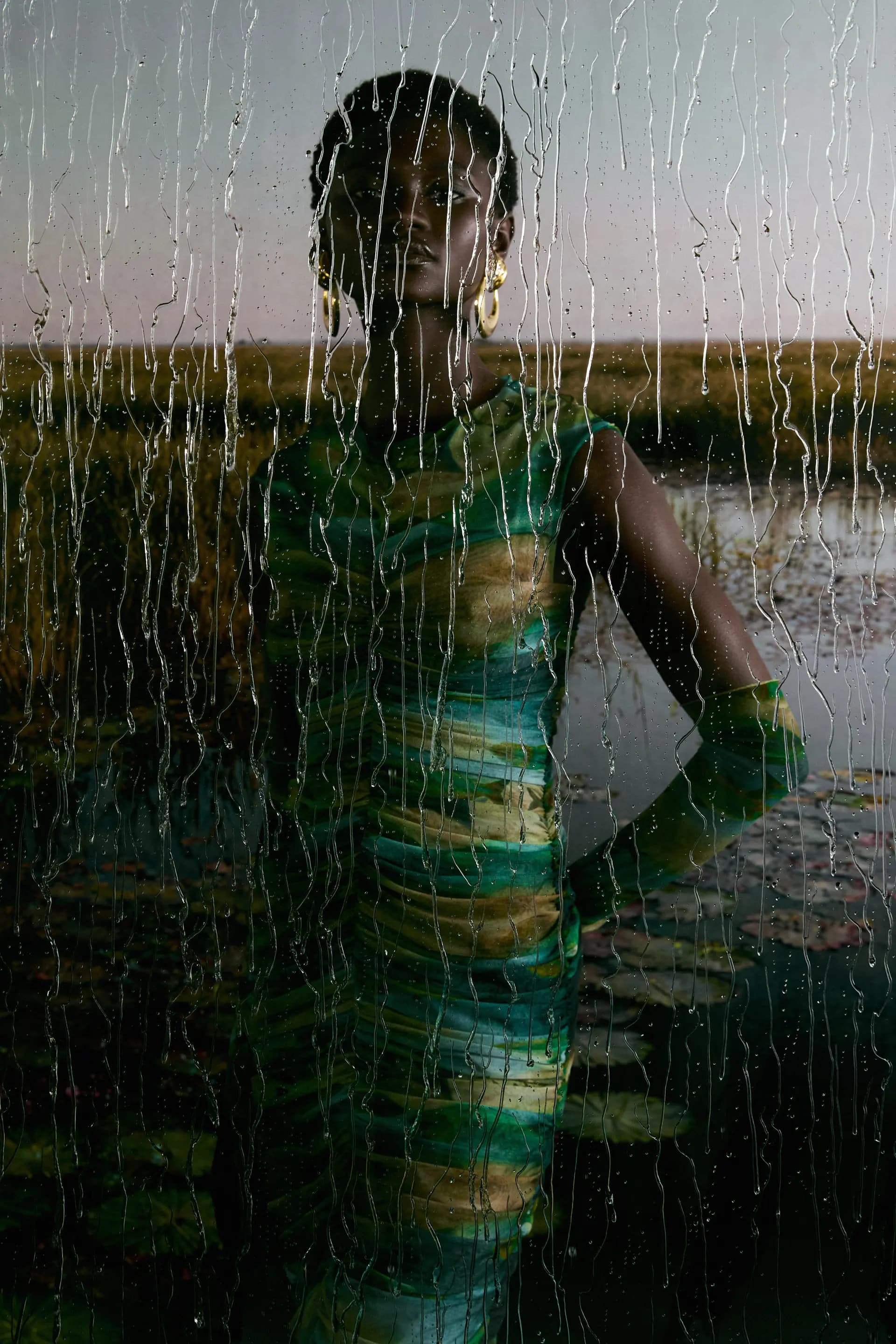 Case overview