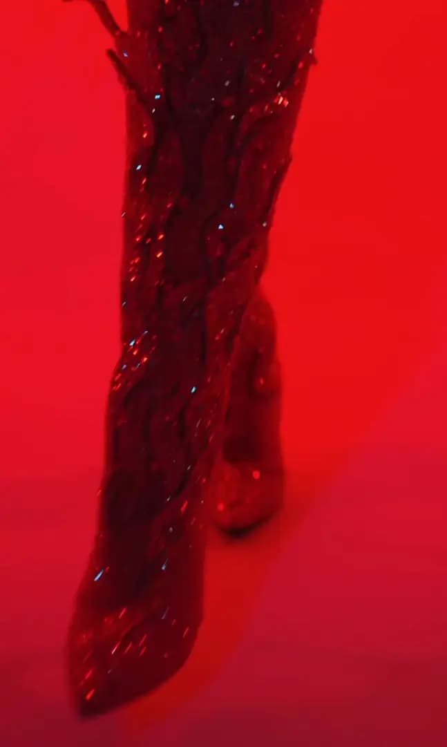 ENSAIOS DA ANITTA  - 5