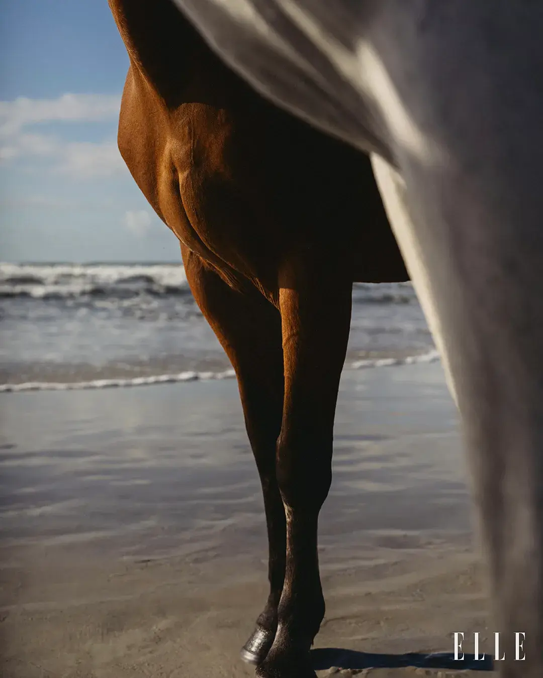 ELLE BRASIL  gallery 3