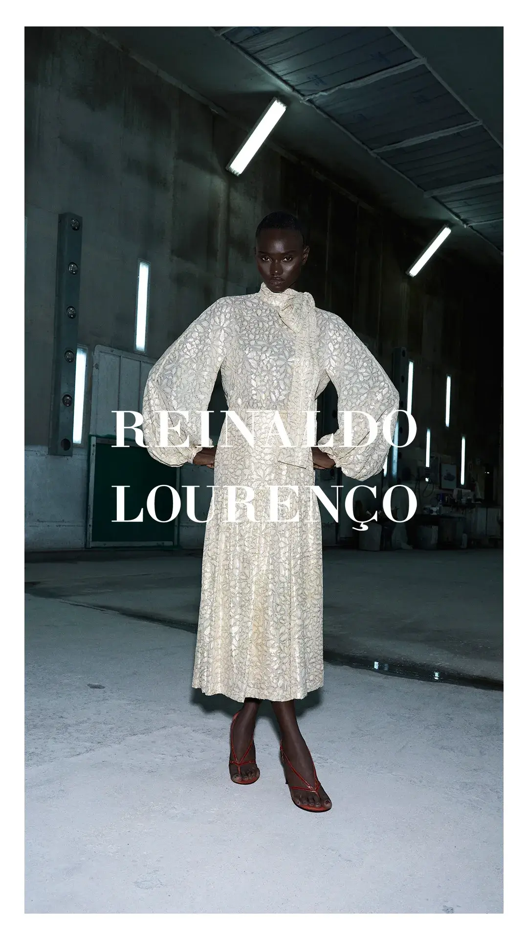 REINALDO LOURENÇO gallery 2