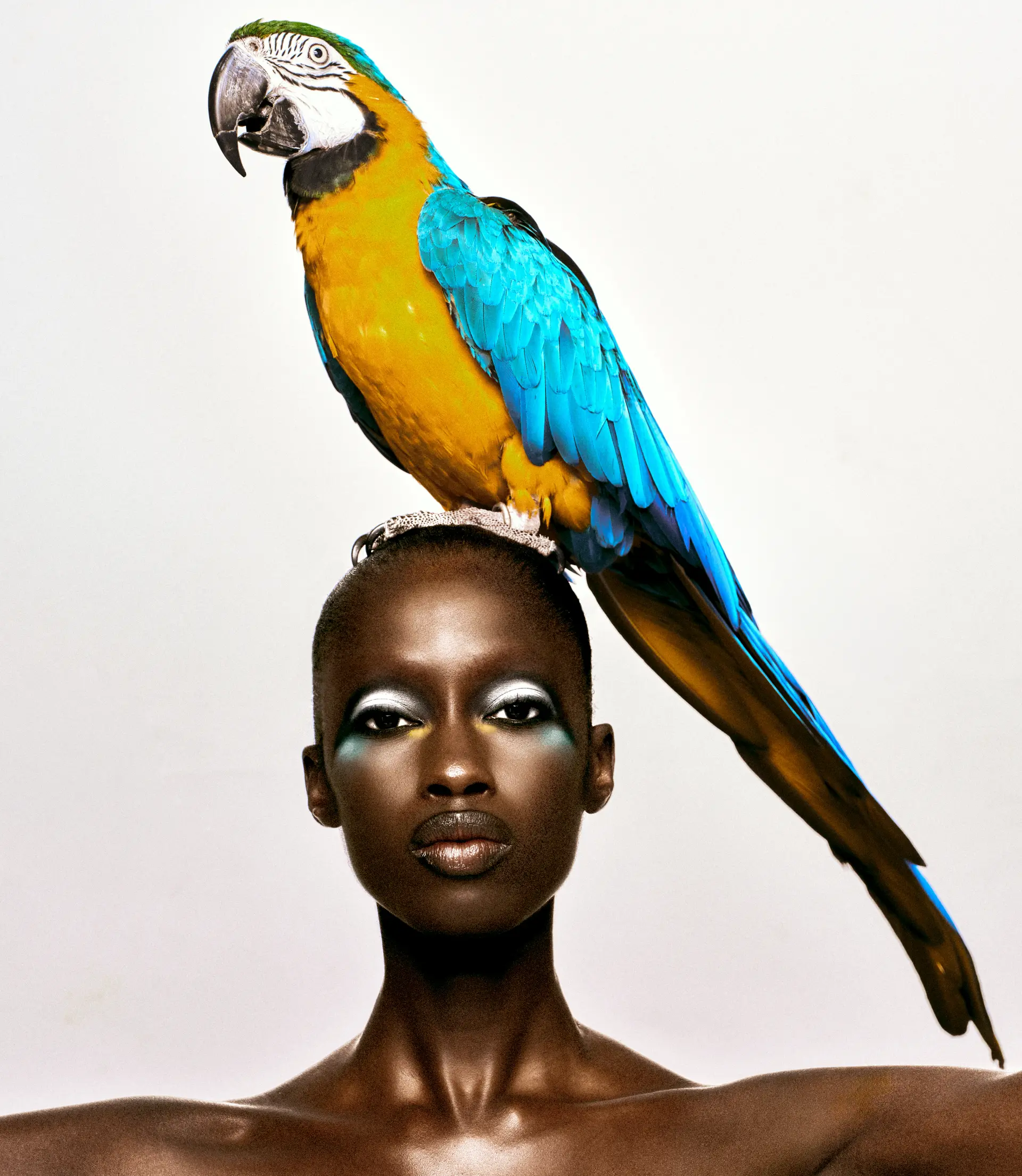 VOGUE LATAM gallery 3