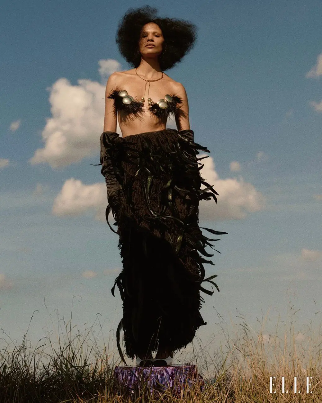 ELLE BRASIL - STEPHANIE CAVALLI  gallery 7