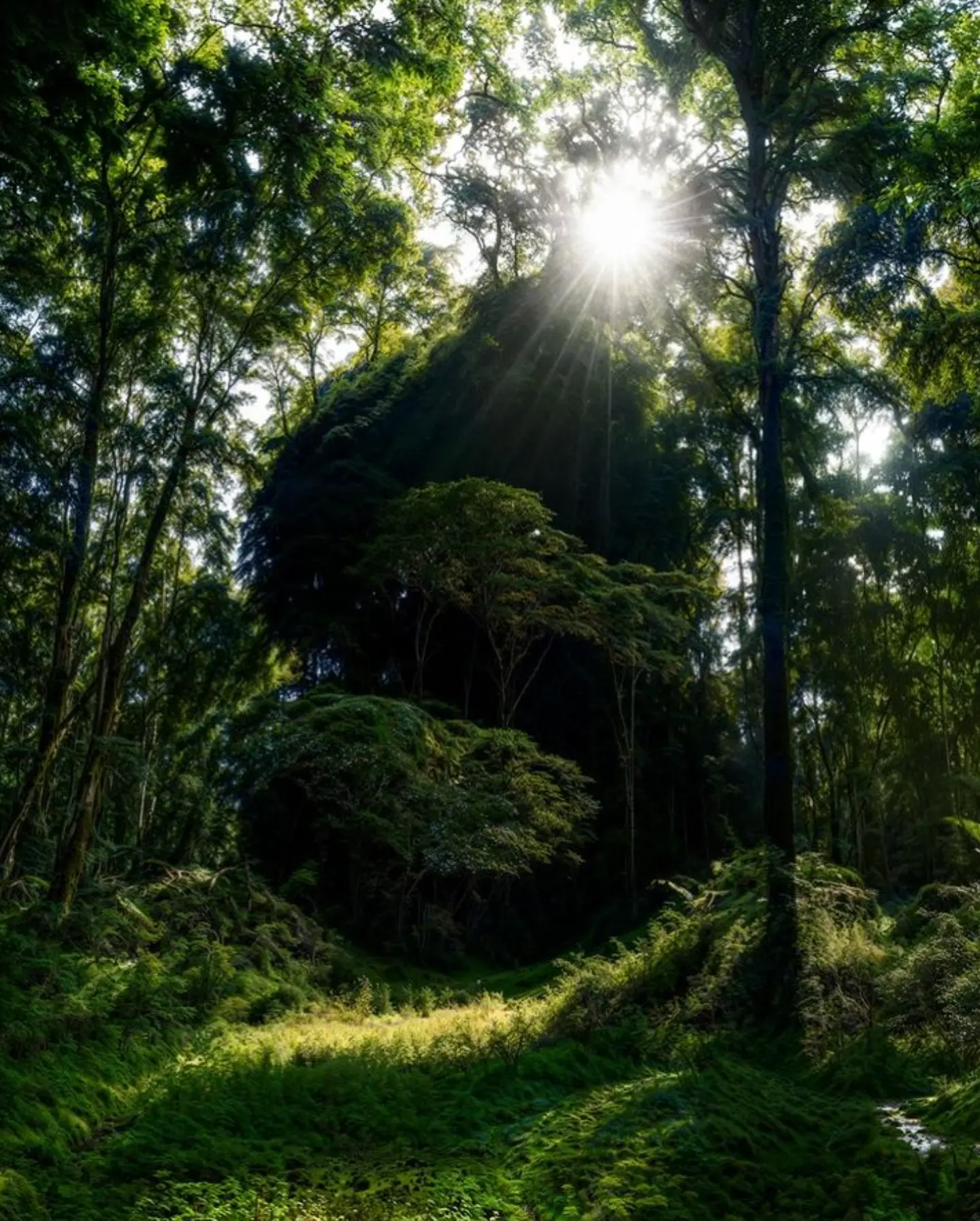 SIMPLE ORGANIC  gallery 10