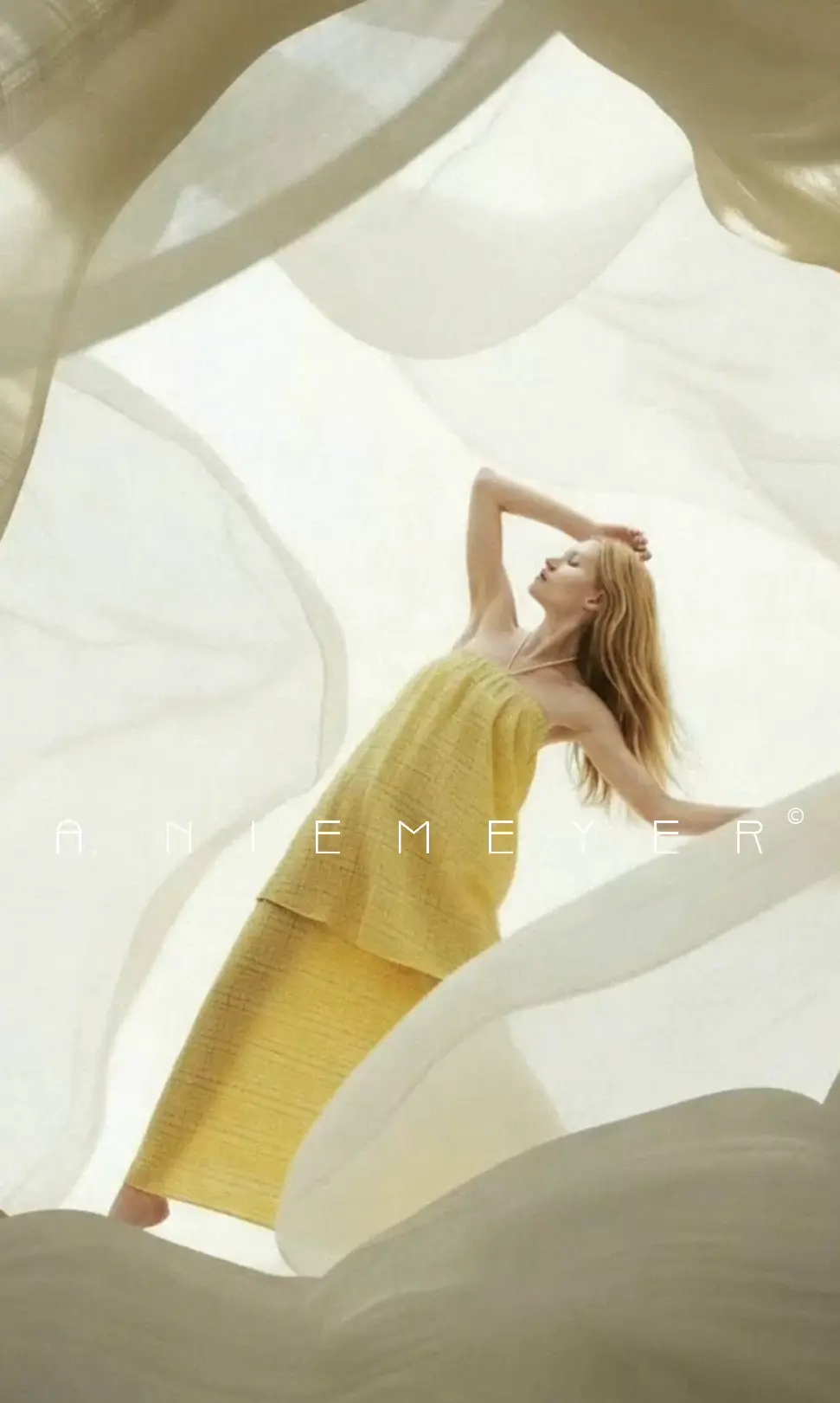 A NIEMEYER  gallery 37